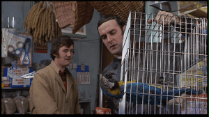 Teaching Modern World at the moment?